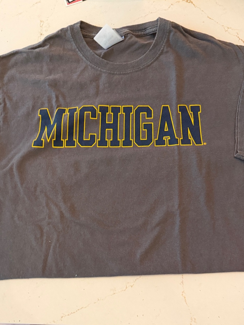 Michigan Short-Sleeve Logo T-Shirt in Gray with Yellow Trim